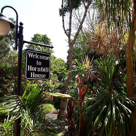 Hornbill House Bed and Breakfast Mtubatuba Exteriör bild